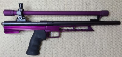 Anschutz Exemplar RC Custom 01.jpg