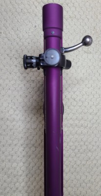 Anschutz Exemplar RC Custom 05.jpg