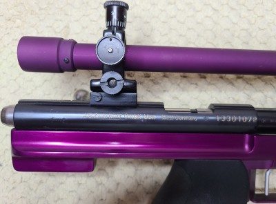 Anschutz Exemplar RC Custom 07.jpg