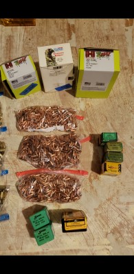 .224 bullets