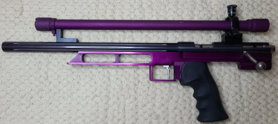 Anschutz Exemplar RC Custom 02